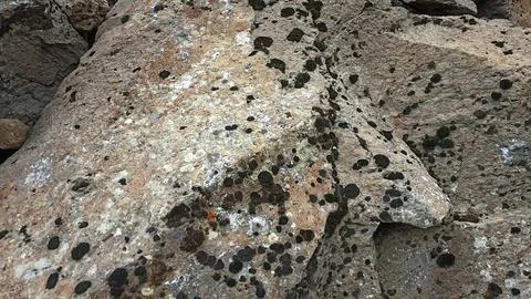 Stones background, stone backdrop, surface of stones Stock Photos