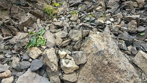 Stones background, stone backdrop, surface of stones Stock-Fotos