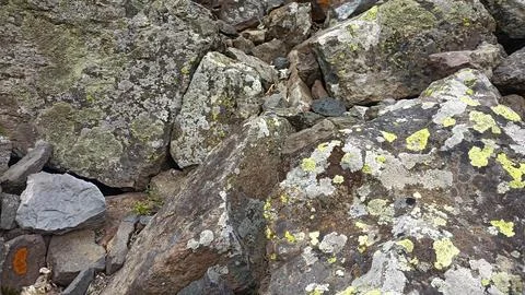 Stones background, stone backdrop, surface of stones Stock-Fotos