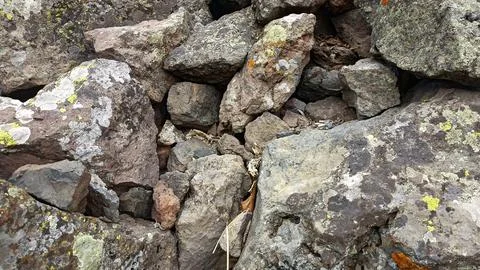 Stones background, stone backdrop, surface of stones Stock-Fotos