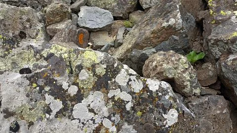 Stones background, stone backdrop, surface of stones Stock Photos