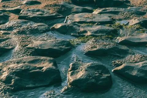 Stones on the beach, background Stock Photos