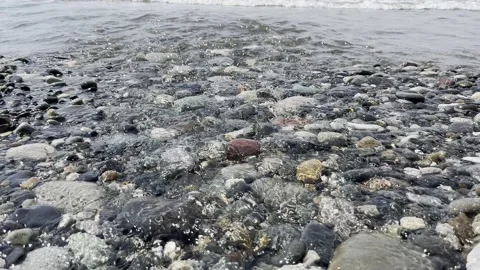 Stones on the beach Video stock 203728077