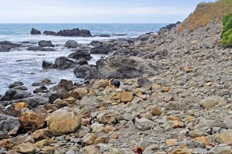 Stones beach Stock Photos