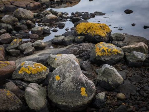 Stones at the beach Stock Photos
