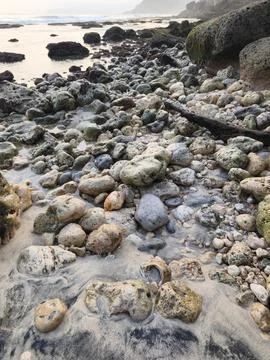 Stones on the beach Stock Photos