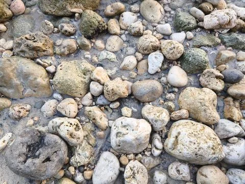 Stones on the beach Stock Photos