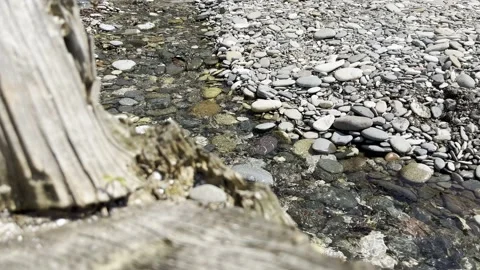 Stones on the beach, river Video stock 203728500