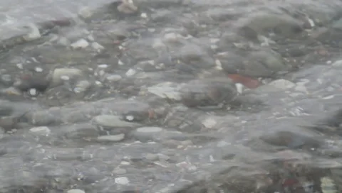 Stones at the bottom of a bubbling brook with waves Video stock 89883137