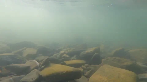 Stones at bottom of mountain river, air bubbles of fast strong stream water Stock Footage 141485846