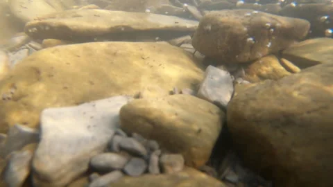 Stones at the bottom of a mountain river and air bubbles Stock Footage 141461667