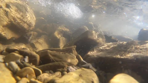 Stones at bottom of mountain river and fast and strong stream water surface Stock Footage 141486463