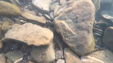 Stones at the bottom of a mountain river and air bubbles Stock Footage 141486539
