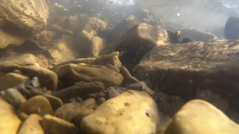 Stones at the bottom of a mountain river and air bubbles of a fast Stock Footage 141486582