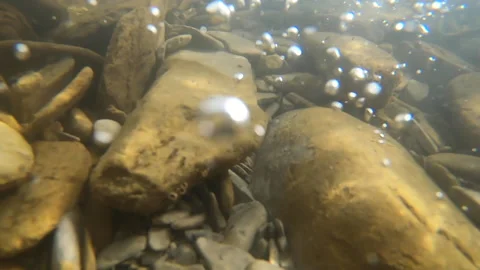 Stones at the bottom of a mountain river and air bubbles Stock Footage 141487069