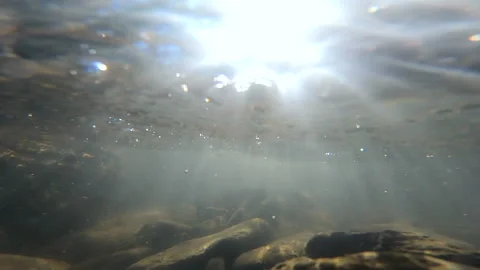 Stones at the bottom of a mountain river and air bubbles Stock Footage 141491753