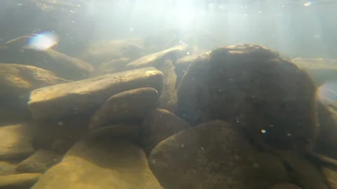 Stones at the bottom of a mountain river and air bubbles Stock Footage 141681897