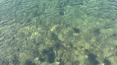 Stones at the bottom of the river. Fast flow of clear water. Timelapse. Stock Footage 236359624