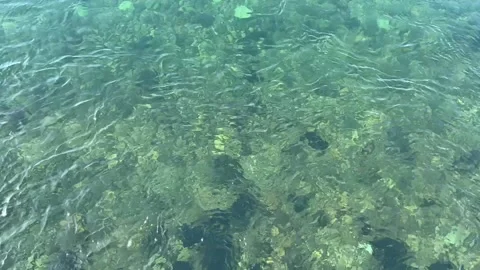 Stones at the bottom of the river. Fast flow of clear water. Timelapse. Stock Footage 236359681