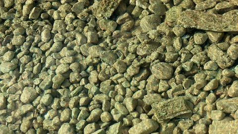 Stones on the bottom of a shallow pond with translucent yellow-green water Stock Photos