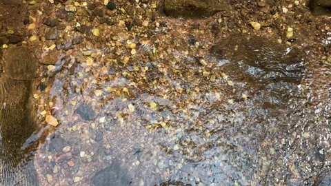 Stones at bottom of stream Stock-Footage 332629331