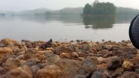 Stones at the cost of river Stock Footage 167419205