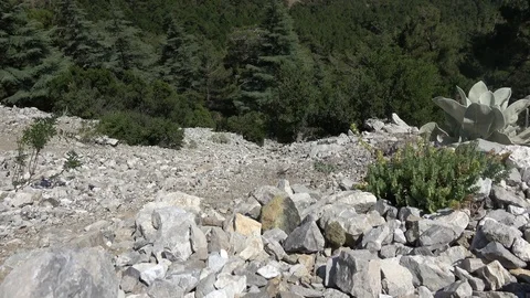 Stones fall down precipice Stock Footage 112251446