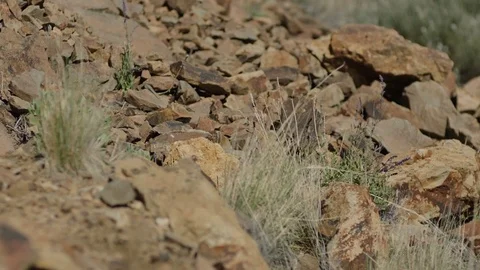 Stones falling slowmotion Stock Footage 75881313