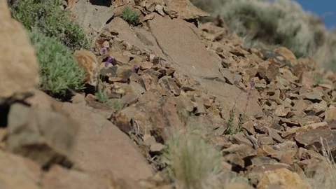 Stones falling slowmotion Stock Footage 75881910