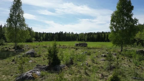 Stones In Field With Sparse Trees And Bushes During Green Summer Flyover Stock Footage 232932616