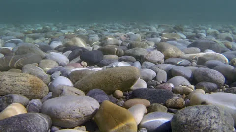 Stones Vidéo 26027386