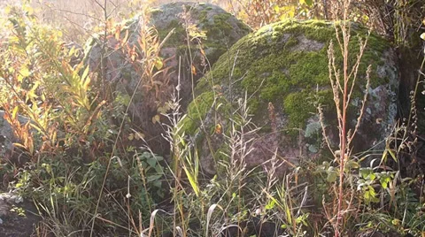 Stones Vídeo Stock 30484678