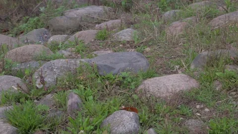 Stones Stock-Footage 164335329