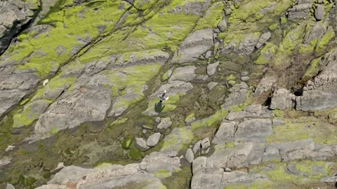 Stones Stock Footage 195437163