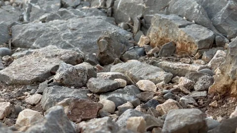 Stones Stock Footage 289630100