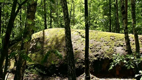 Stones in the forest Stock Footage 99360053