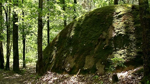 Stones in the forest Stock Footage 99801073