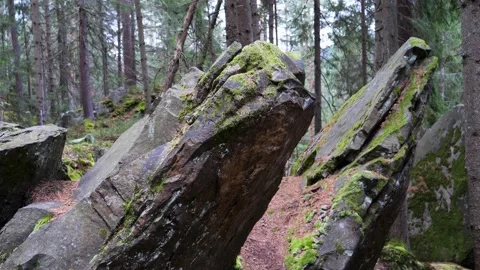 Stones in the forest of the mountain range Stock Footage 292501971