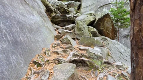 Stones in the forest of the mountain range Stock Footage 292502107