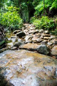 Stones in a forest. Stock Photos