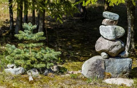 Stones in the forest Stock Photos