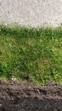 Stones grass and ground Stock Photos