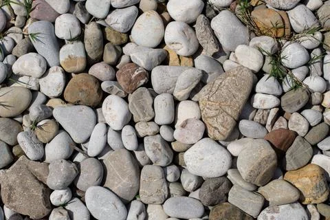 Stones with grass on the beach Foto stock