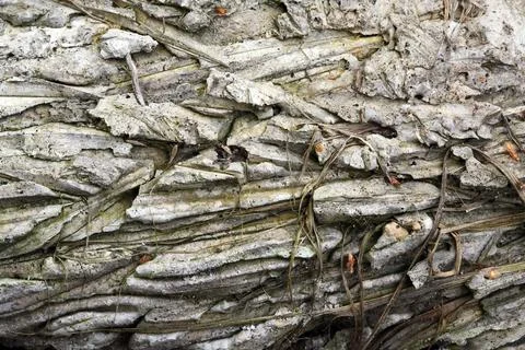 Stones Gray Background Stock Photos
