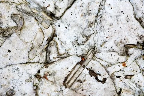 Stones Gray Background Stock Photos
