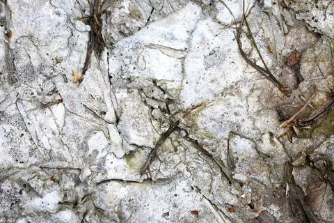 Stones Gray Background Stock Photos
