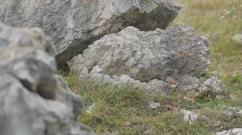 The Stones On the Ground 库存影片 65823105