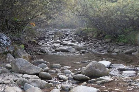Stones at the margin of a river Stock Photos