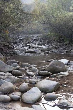 Stones at the margin of a stream Stock Photos
