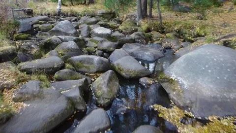 Stones with Moss in the Forest River Stock Footage 232512927